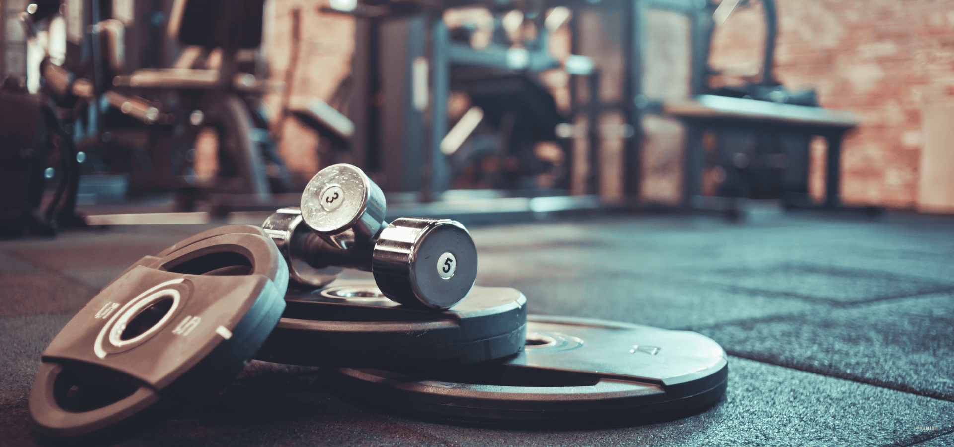 Personalised Workout Programs
